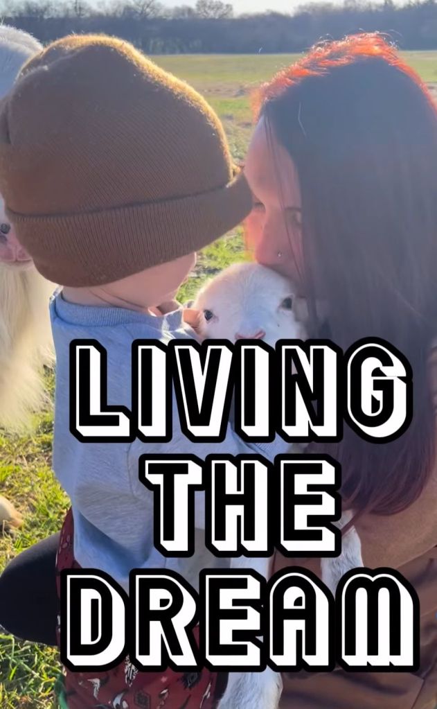 screenshot_20251026_085850_facebook6497120734777232362