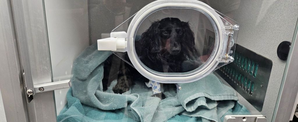 20260317_1602127087603823367873073