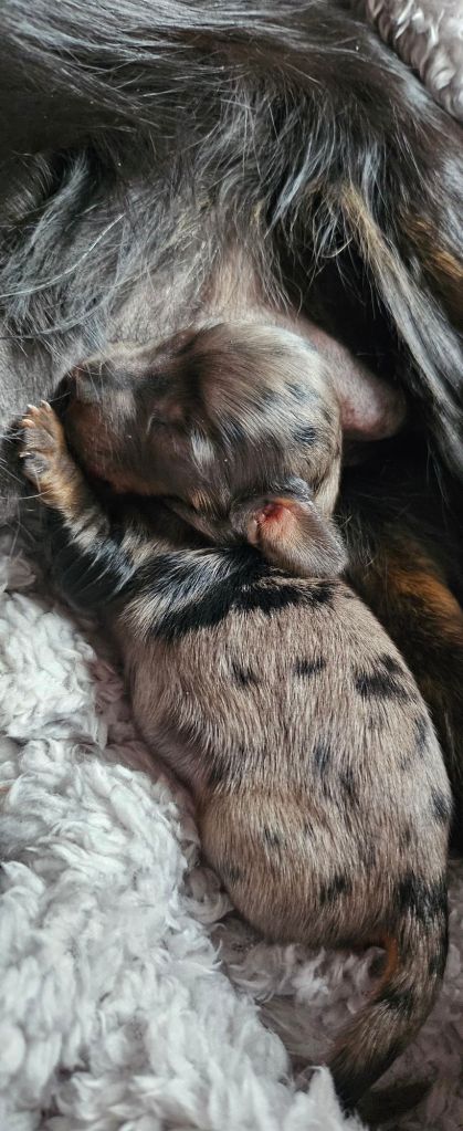 20260318_1620156338877665279575172