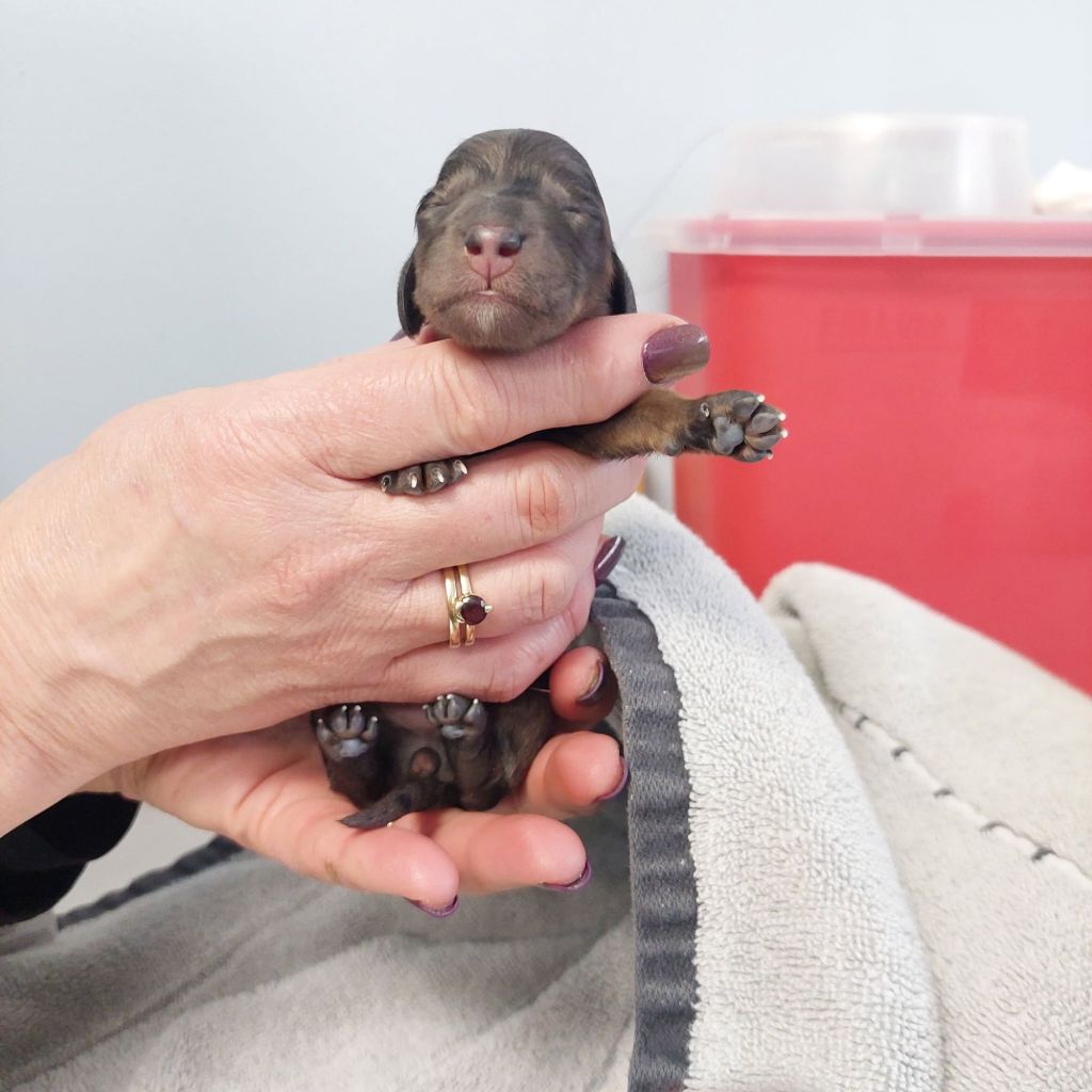 5768074853816812654910006402