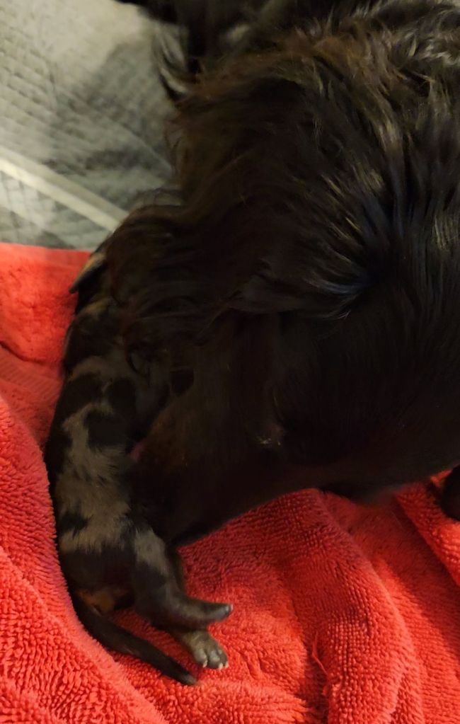 videocapture_20260318-1607232444514067857225542