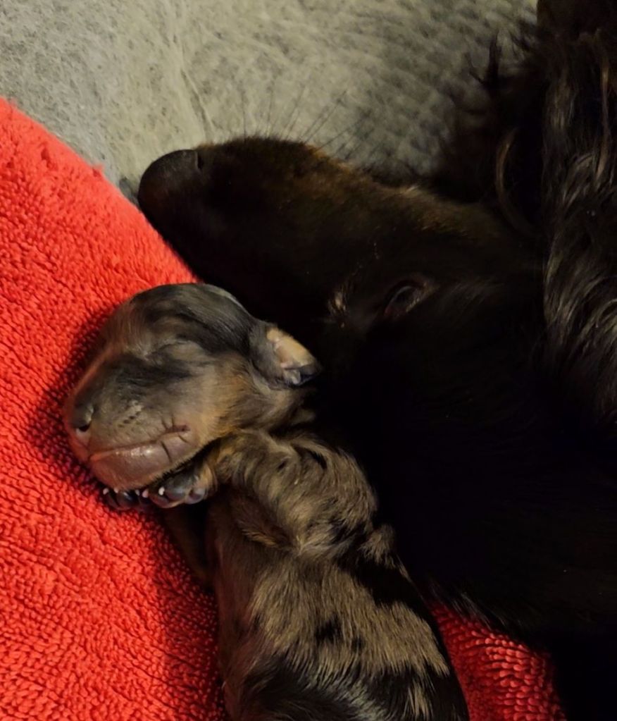 videocapture_20260318-1608403839365452464101076